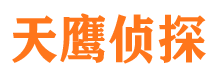 海伦寻人公司